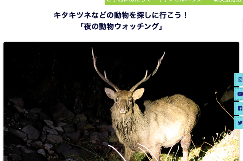 知床ネイチャークルーズ