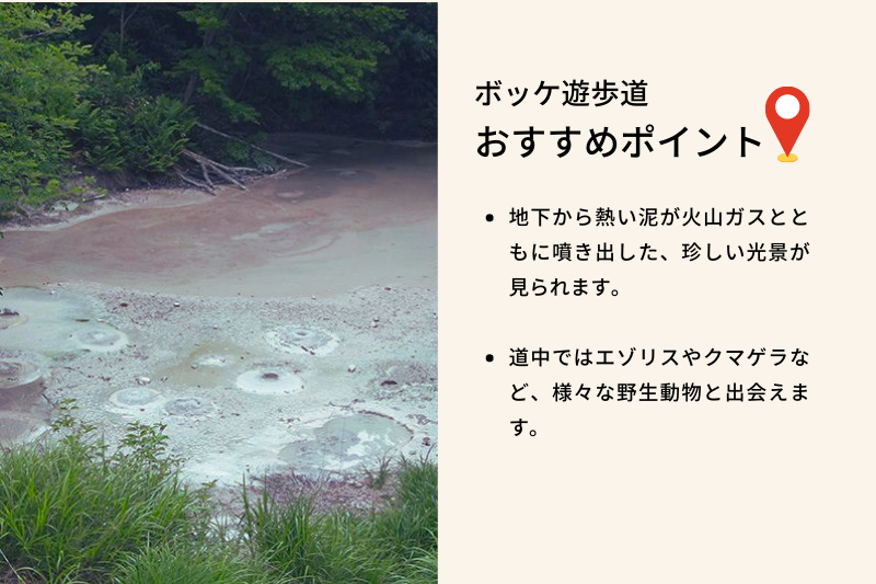 おすすめポイント、地下から熱い泥が火山ガスとともに噴き出した、珍しい光景が見られます。さらにエゾリスやクマゲラなど多くの野生動物と出会えます。