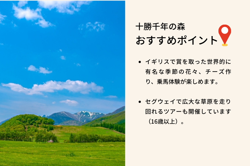 十勝千年の森 おすすめポイント、イギリスで賞を取った世界的に有名な季節の花々、チーズ作り、乗馬体験が楽しめます。セグウェイで広大な草原を走り回れるツアーも開催しています（16歳以上）。
