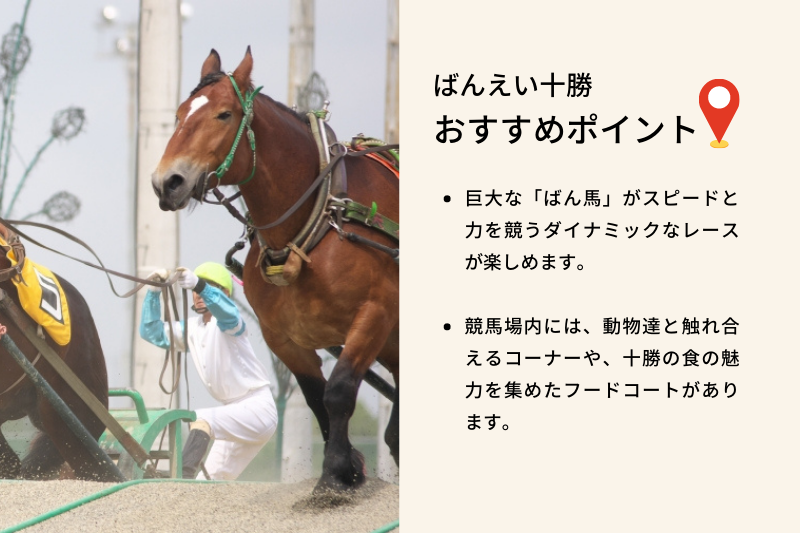 ばんえい十勝（帯広競馬場） おすすめポイント、巨大な「ばん馬」がスピードと力を競うダイナミックなレースが楽しめます。競馬場内には、動物達と触れ合えるコーナーや、十勝の食の魅力を集めたフードコートがあります。
