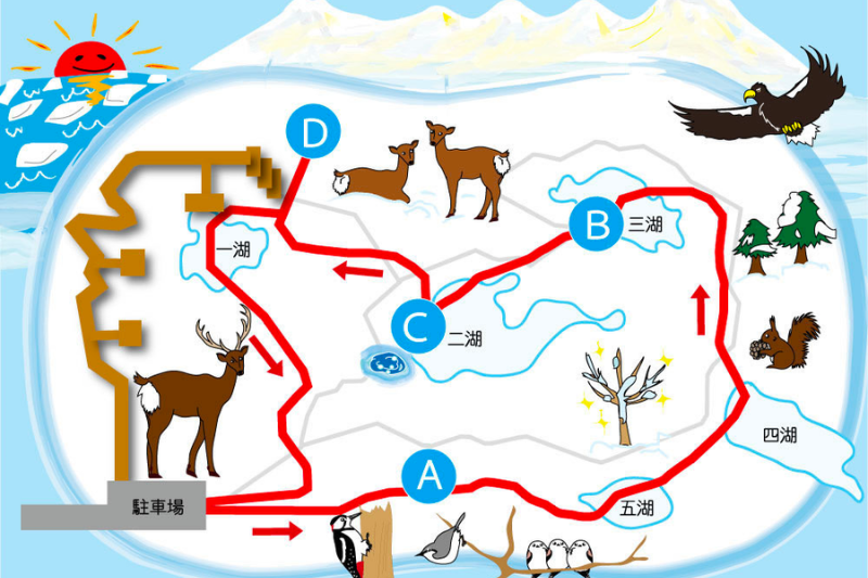 知床五湖のルート(冬)