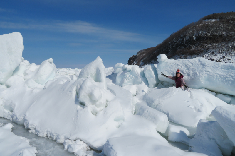 知床の流氷