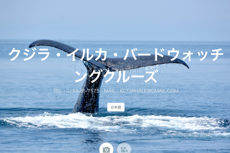 クルーズ ゴジラ岩観光