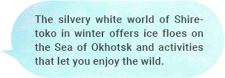 The silvery white world of Shiretoko in winter offers ice floes on the Sea of Okhotsk and activities that let you enjoy the wild.