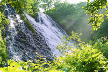 Oshinkoshin Falls