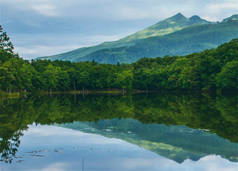 知床の楽しみ方