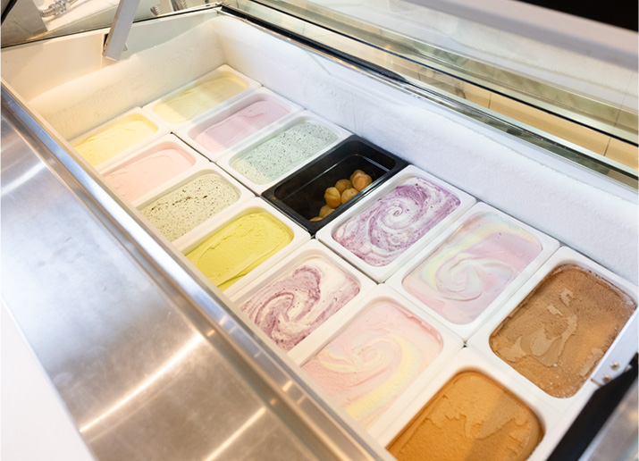 夕食マルスコイギャラリー