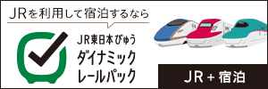 JR東日本びゅうダイナミックレールパック