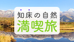 アクティビティ・観光満喫プラン