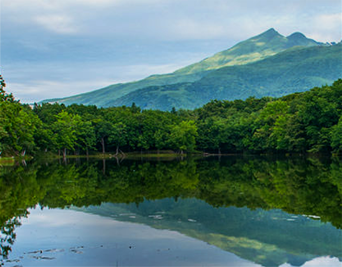 知床第一ホテル