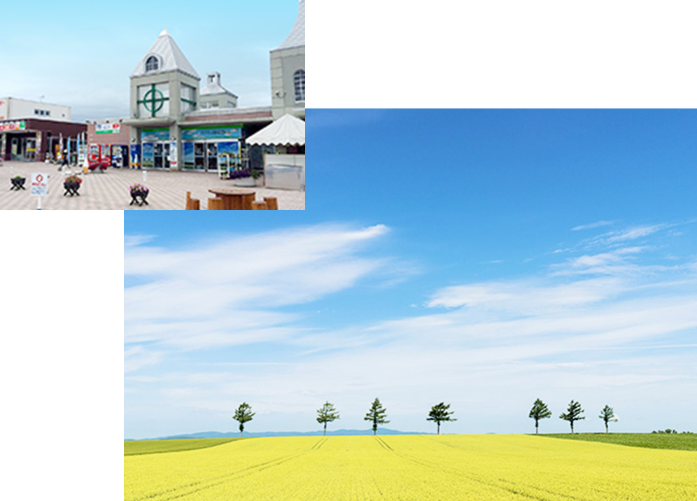 道の駅 メルヘンの丘めまんべつ