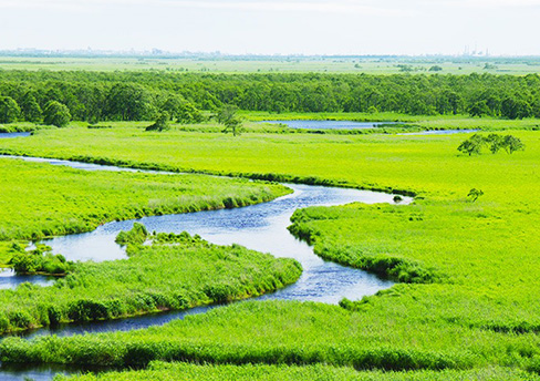 釧路&阿寒湖観光