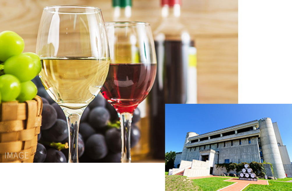 池田町ブドウ・ブドウ酒研究所