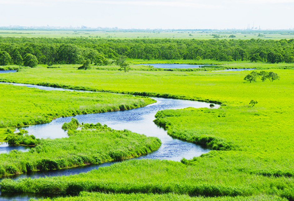 釧路市湿原展望台