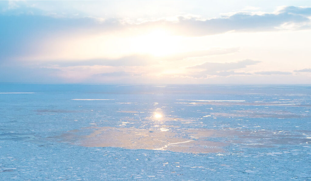 流氷を楽しむ